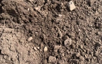 Unscreened Topsoil